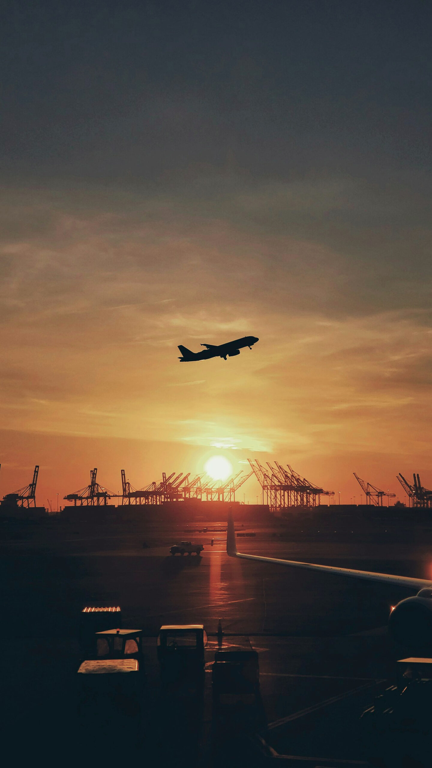 How Bear Air Shapes the Future of Aviation