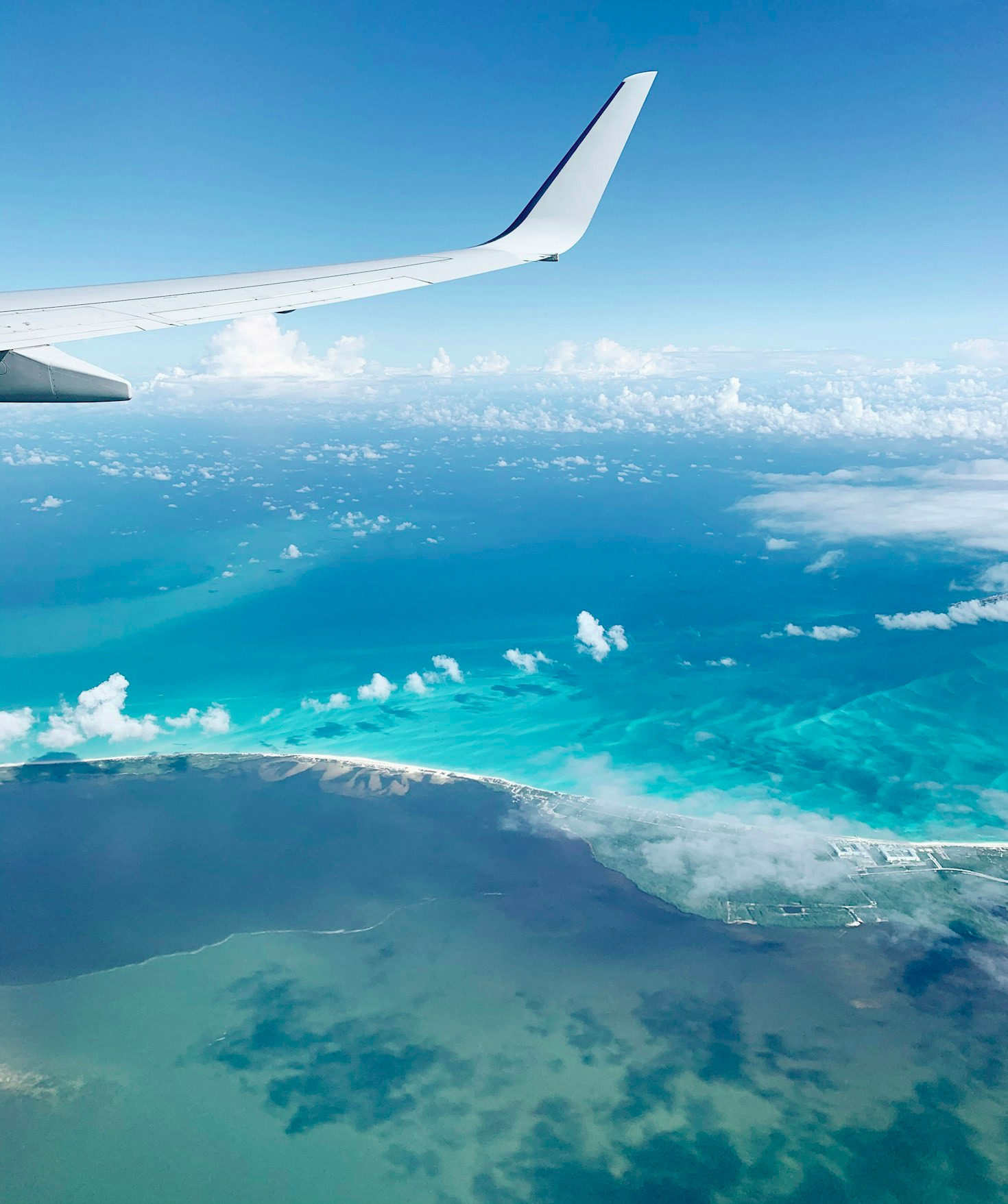 Engaging Stories From Bear Air’s Passengers